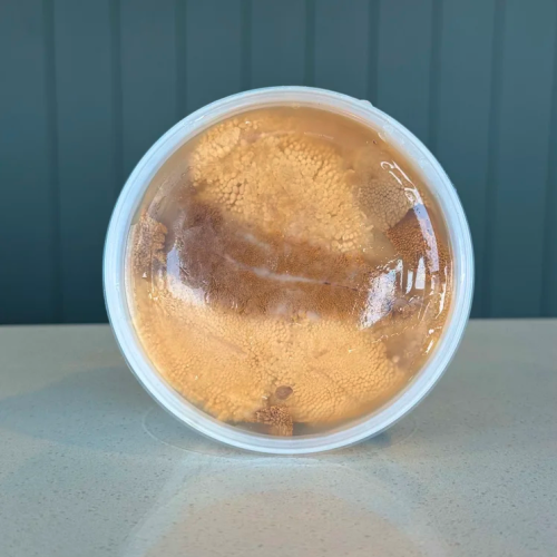 Kina Pot Fresh (Chatham Island Food Co) 150g